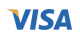 VISA Logo
